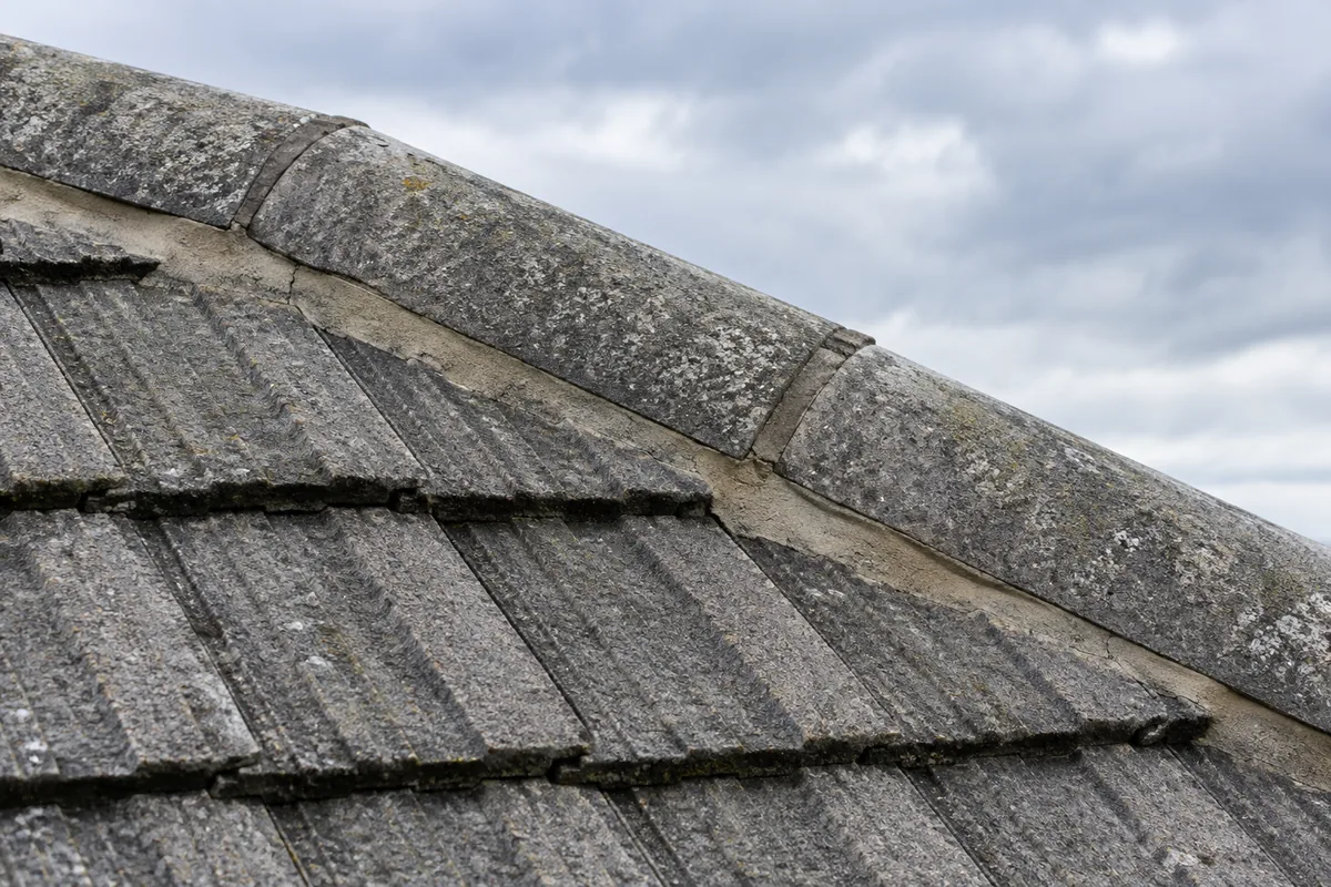 Illustrative ridge-tile joint and mortar bedding above concrete roof tiles.